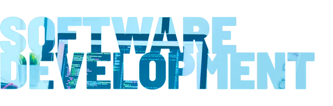Software Development Services in Dubai